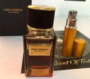 Velvet Amber Sun Dolce&Gabbana pour homme et femme