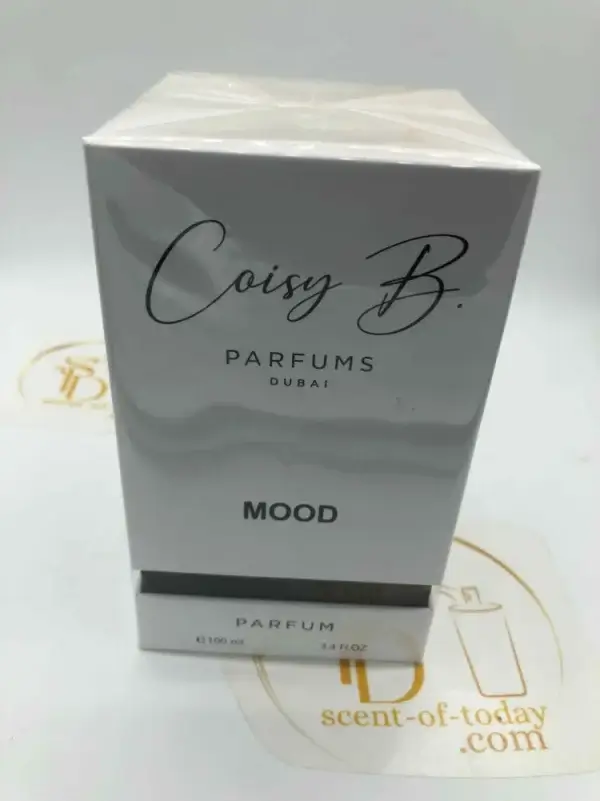 Mood Coisy B 100ML