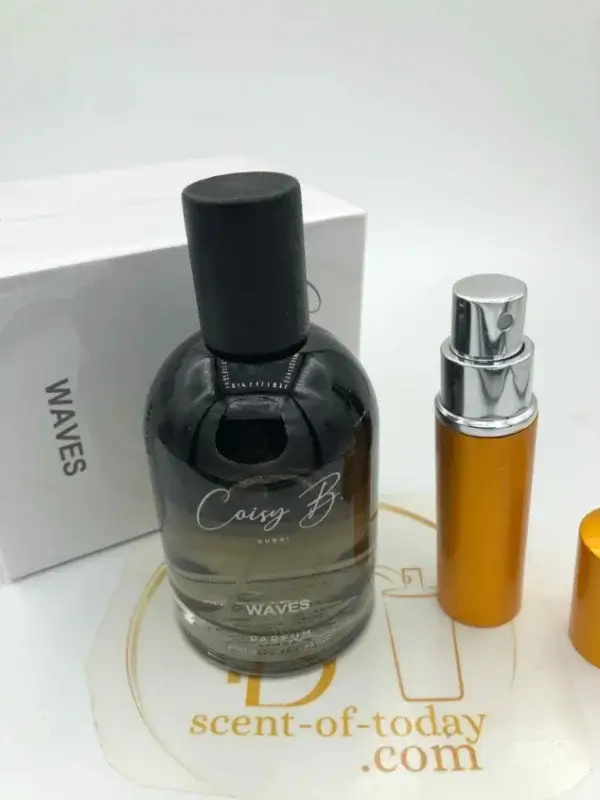 Waves Coisy B. DECANTAGE